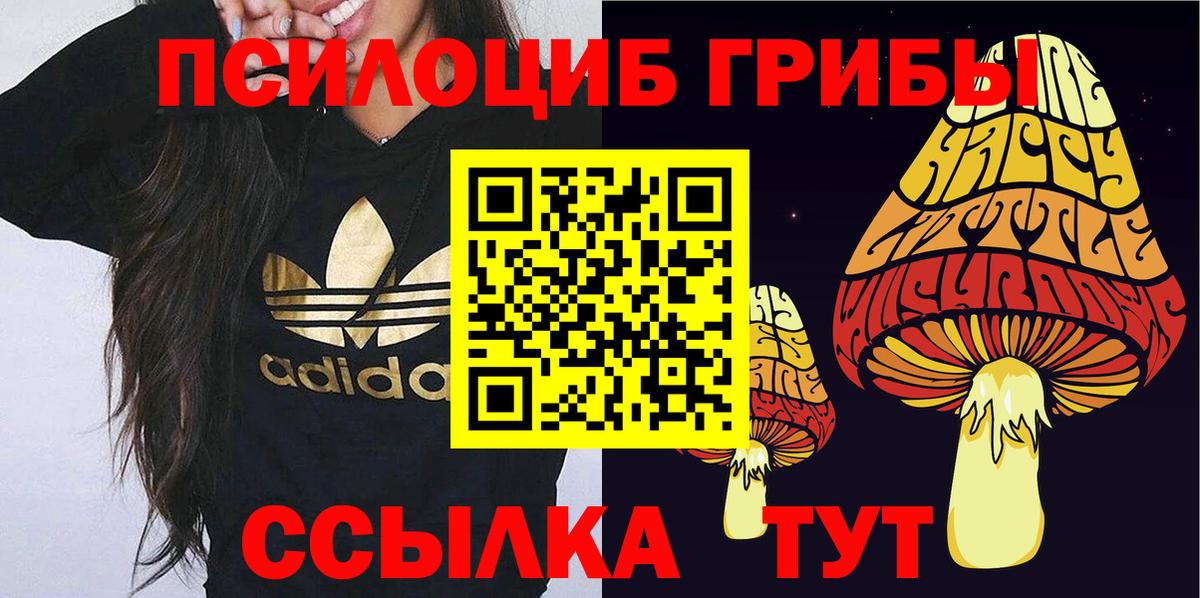 Галлюциногенные грибы Psilocybe Елабуга